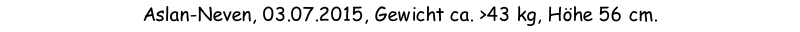Aslan-Neven, 03.07.2015, Gewicht ca. >43 kg, Höhe 56 cm.