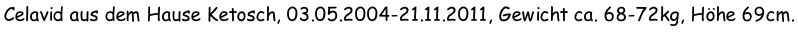 Celavid aus dem Hause Ketosch, 03.05.2004-21.11.2011, Gewicht ca. 68-72kg, Höhe 69cm.